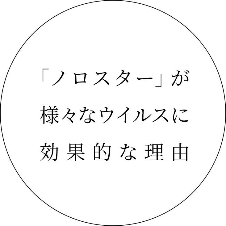 「ノロスター」が様々なウイルスに効果的な理由