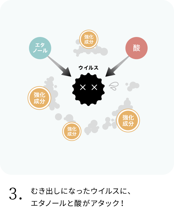 3. むき出しになったウイルスに、エタノールと酸がアタック！